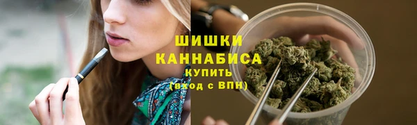 шишки Аркадак